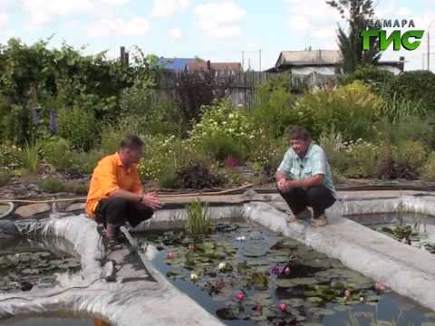 Дачная жизнь