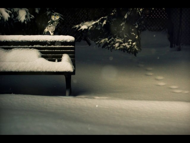 3D фотография