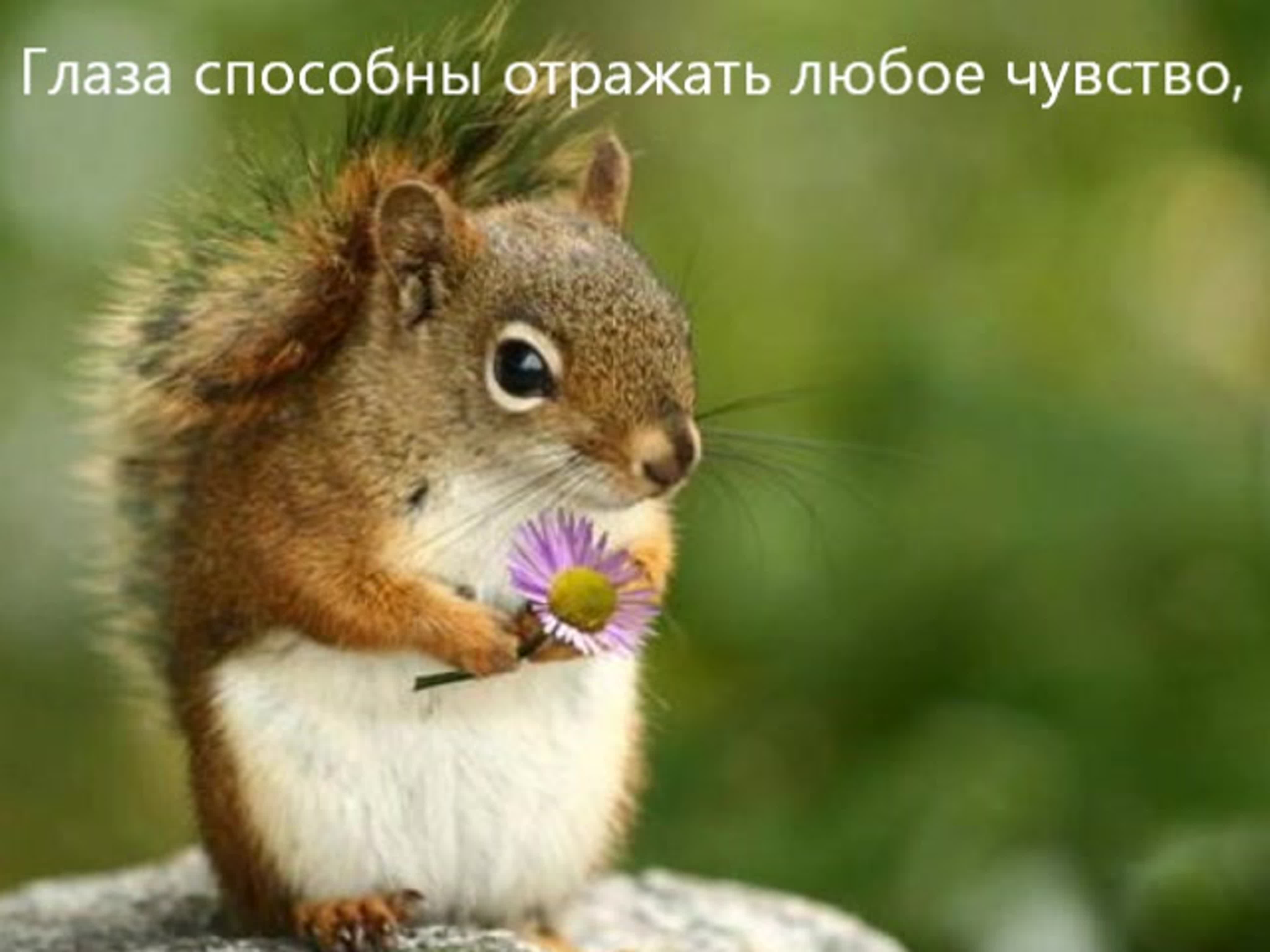 О природе, красоте и жизни на земле