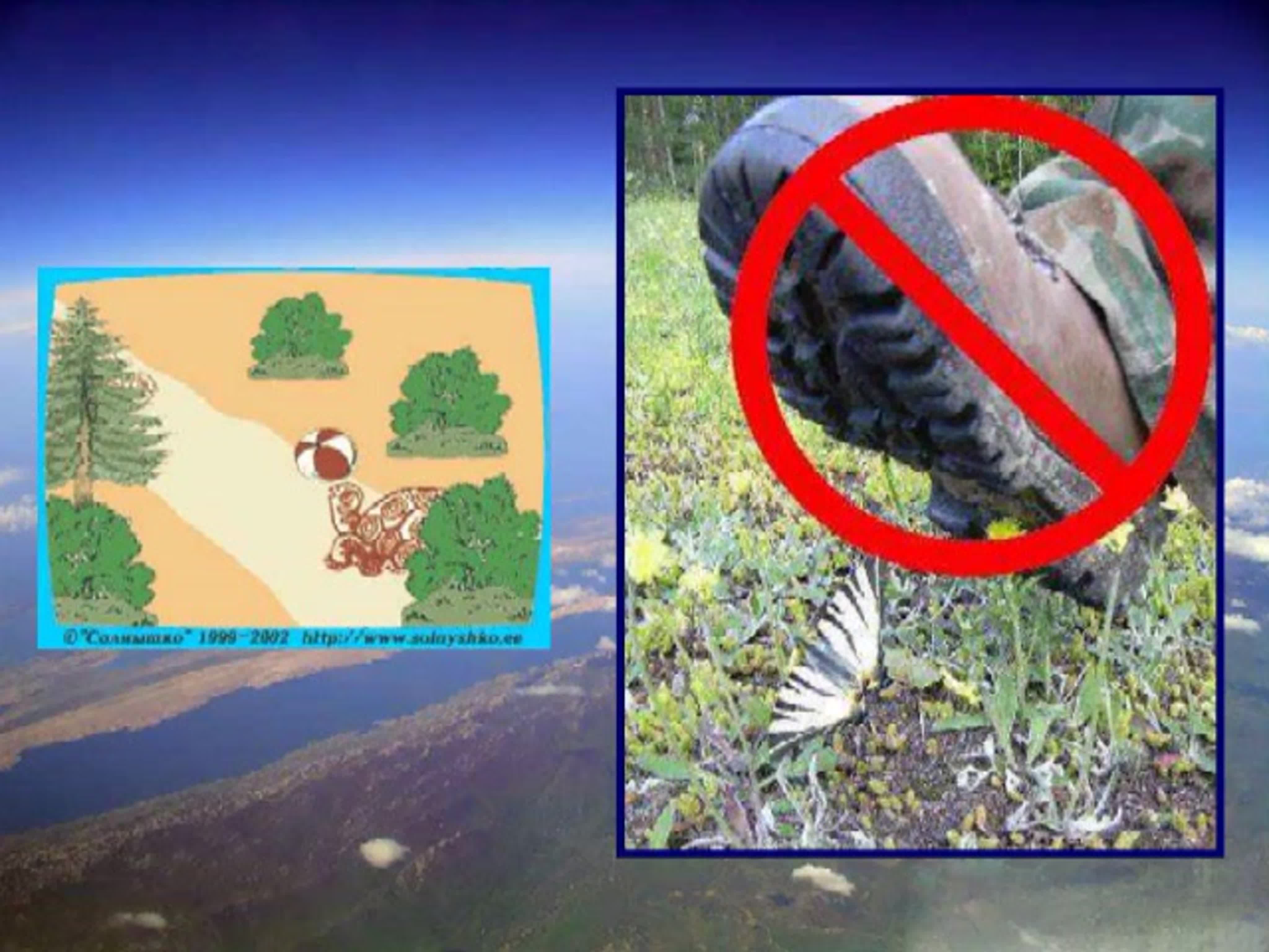 Сохраняйте природу!