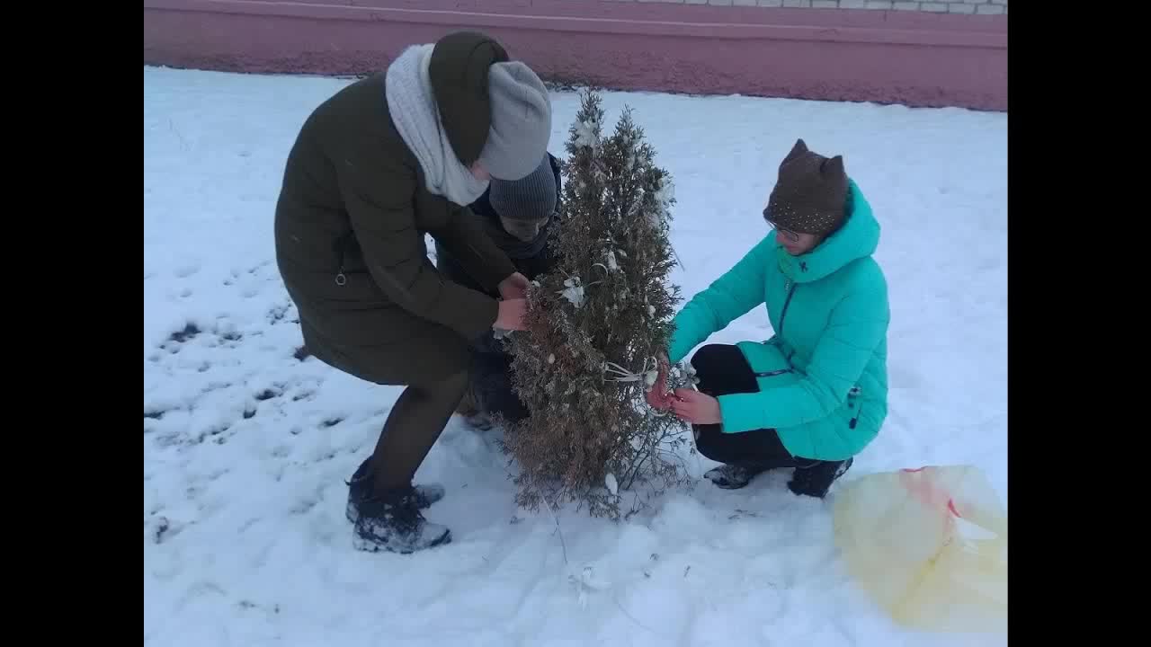 Волонтерский отряд "Выбор"