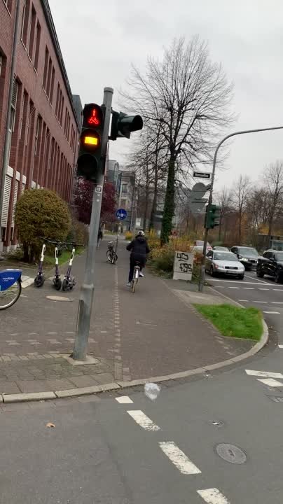 NAZIS TRIED TO KILL ME