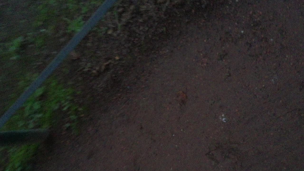 GERMAN FEDERAL STATE FAKING HUMAN RIGHTS SLAUGHTERING PPL. BUTCHERED DUSSELDORF GESTAPO FOR LOOKING JEWISH ACCORDING TO KHK GLIE