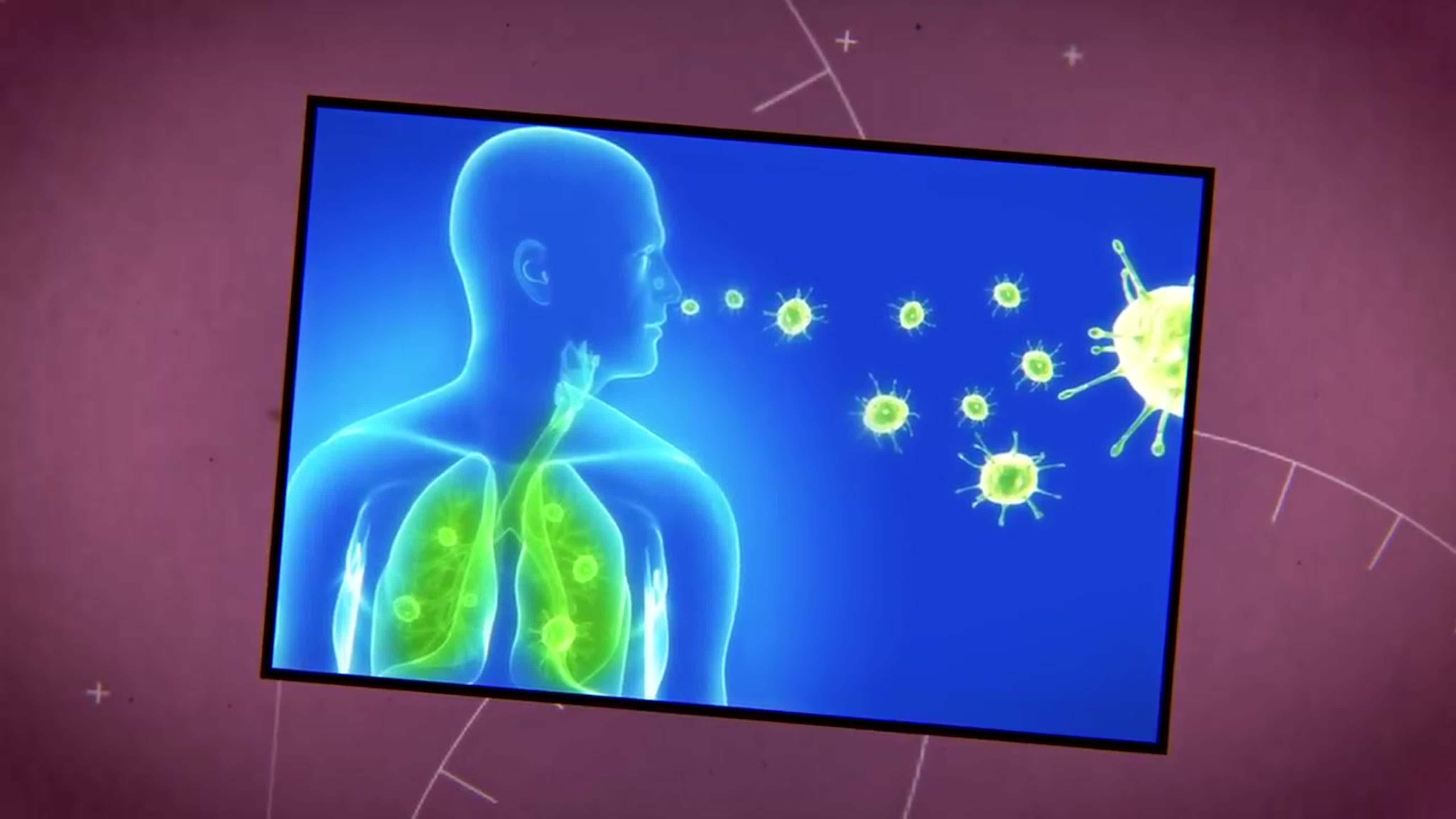 ЗДОРОВЬЕ. АНТИОКСИДАНТЫ.