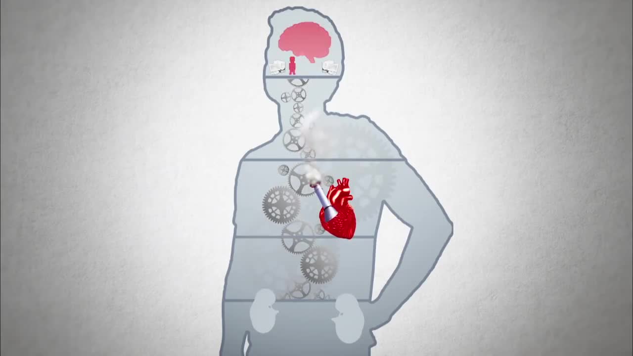 ЗДОРОВЬЕ. ВСЕ О ПИТАНИИ.