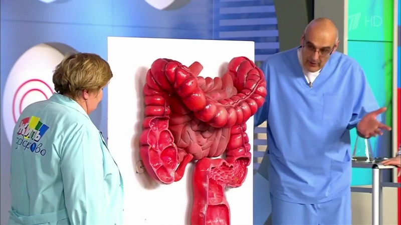 ЗДОРОВЬЕ. ГЕМОРРОЙ.