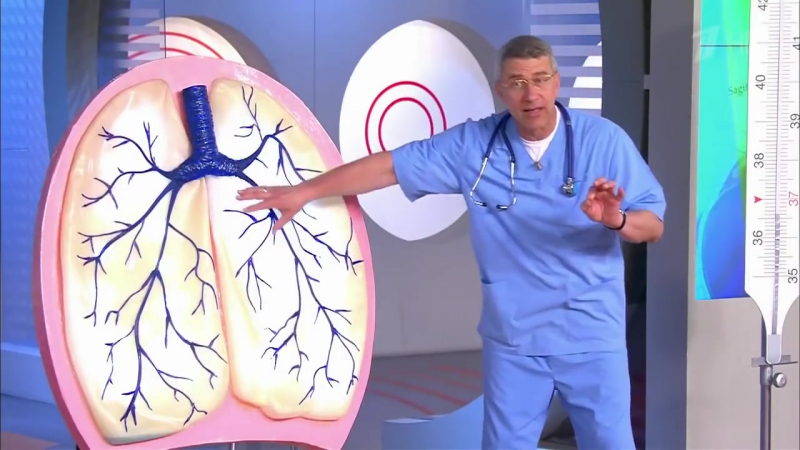 ЗДОРОВЬЕ. ДЫХАНИЕ.