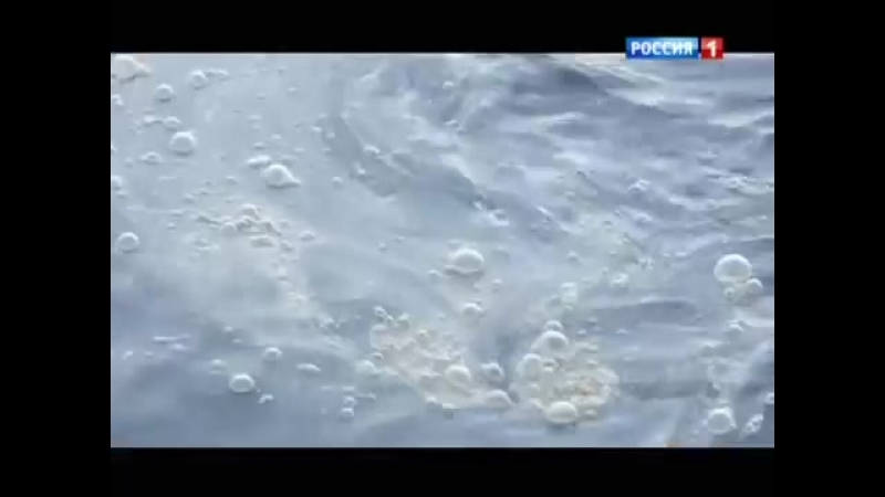 ЗДОРОВЬЕ. ИММУНИТЕТ.