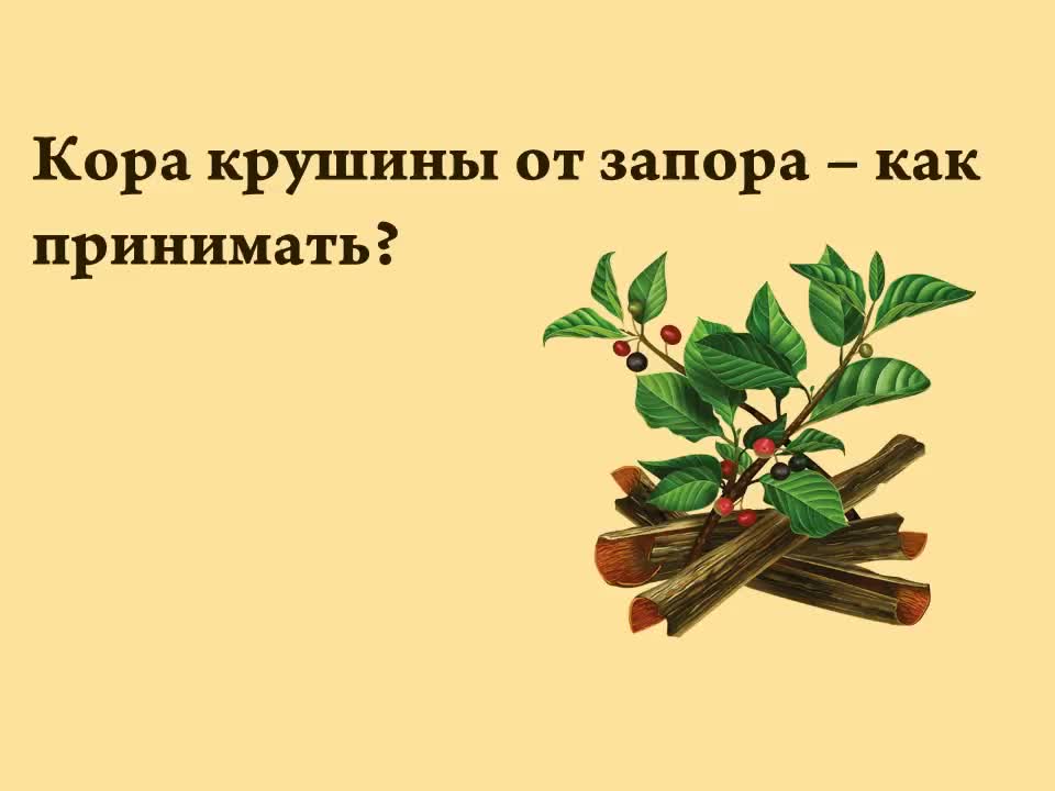 ЗДОРОВЬЕ. КРУШИНЫ КОРА.