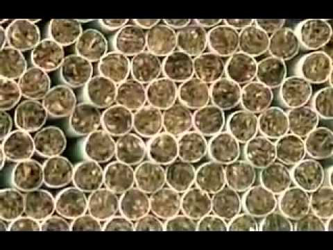 ЗДОРОВЬЕ. НИКОТИН. КУРЕНИЕ.