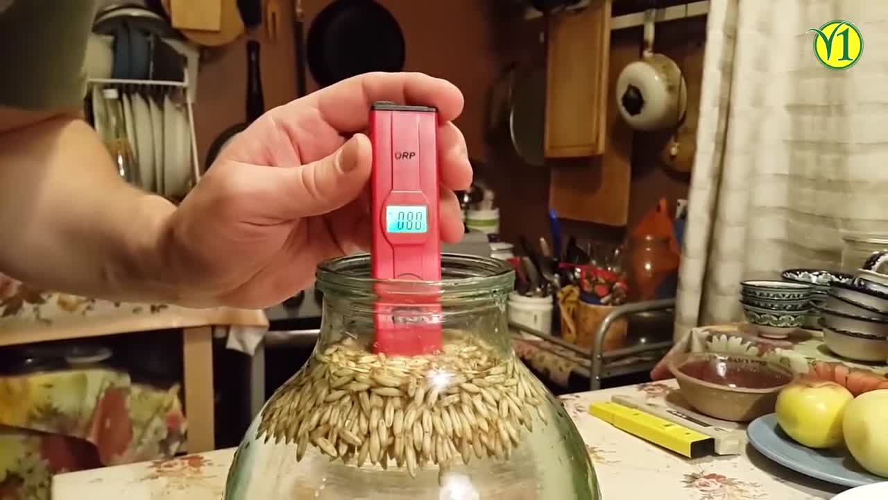 ЗДОРОВЬЕ. ОВЁС.