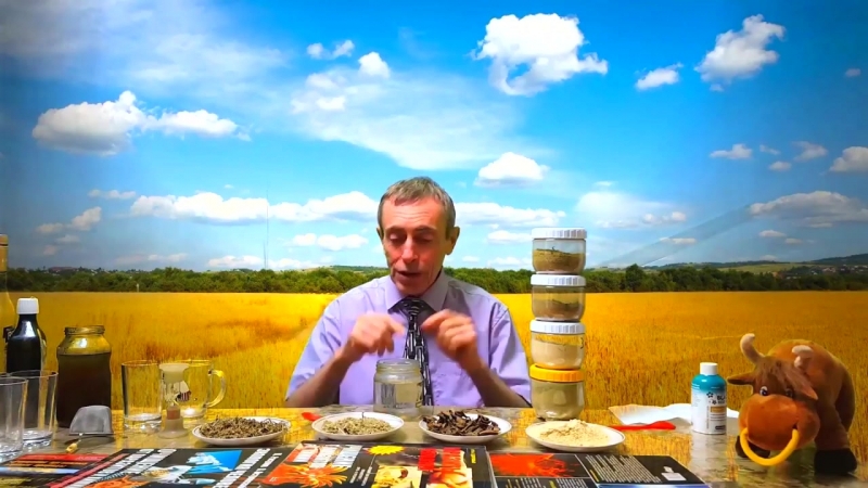 ЗДОРОВЬЕ. ПОЛЫНЬ ГОРЬКАЯ.