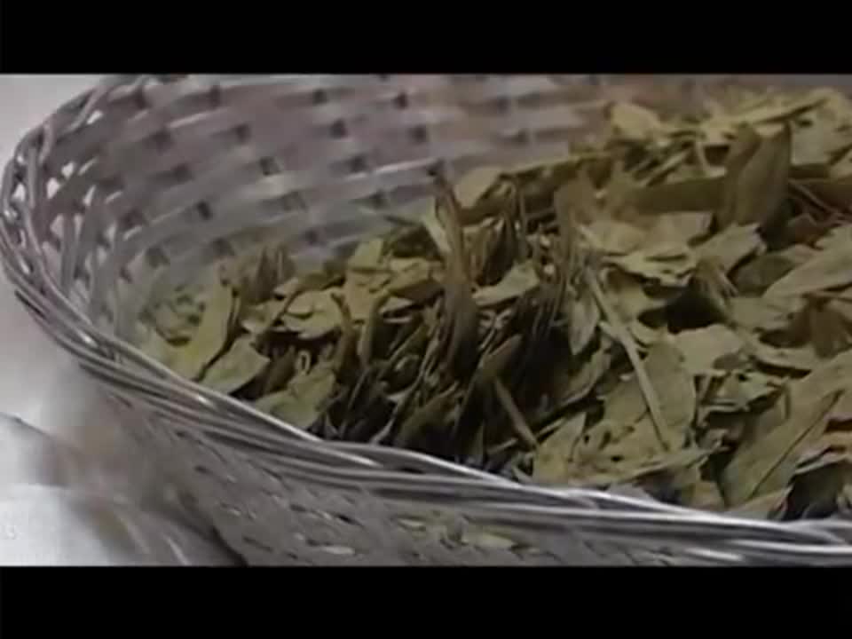 ЗДОРОВЬЕ. СЕННА.