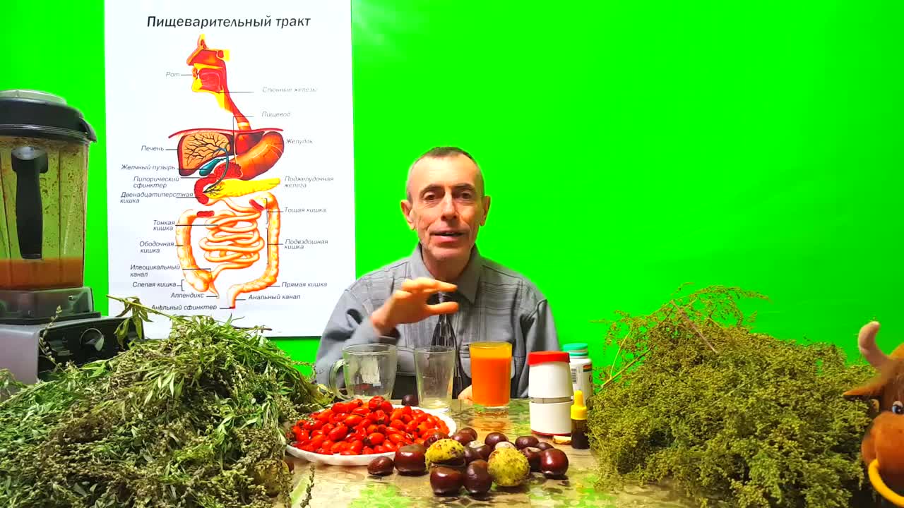 ЗДОРОВЬЕ. ШИПОВНИК.