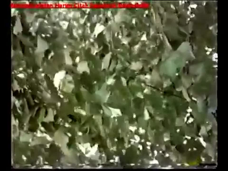 НАУКА. ТЮРКИ.