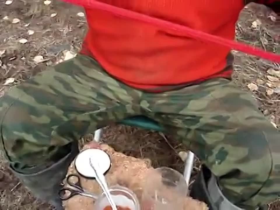 ПИТАНИЕ. ИКРА.