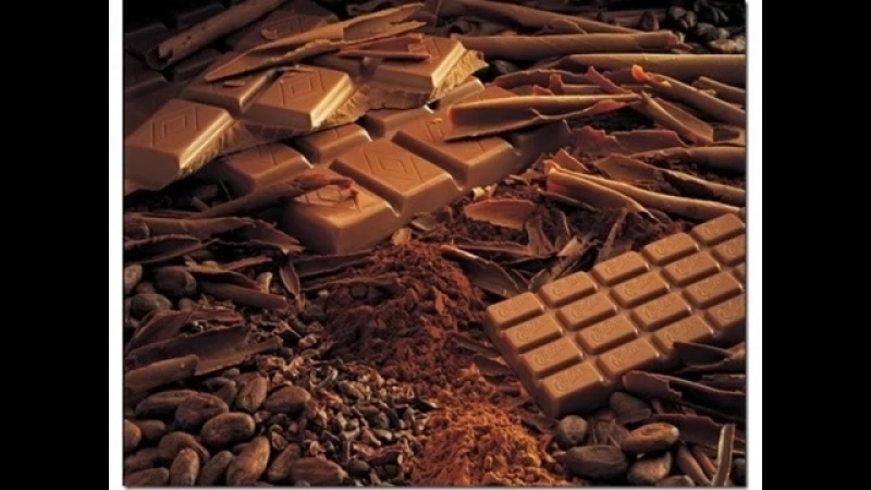 ПИТАНИЕ. ШОКОЛАД. КАКАО.