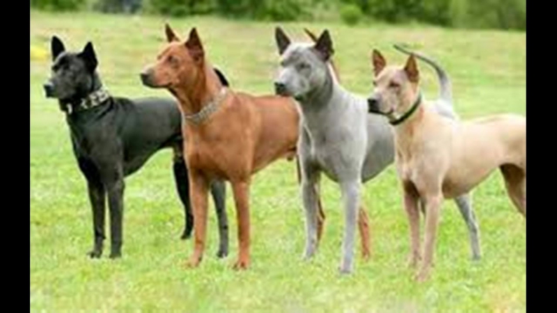 РАБОТА. БИЗНЕС.