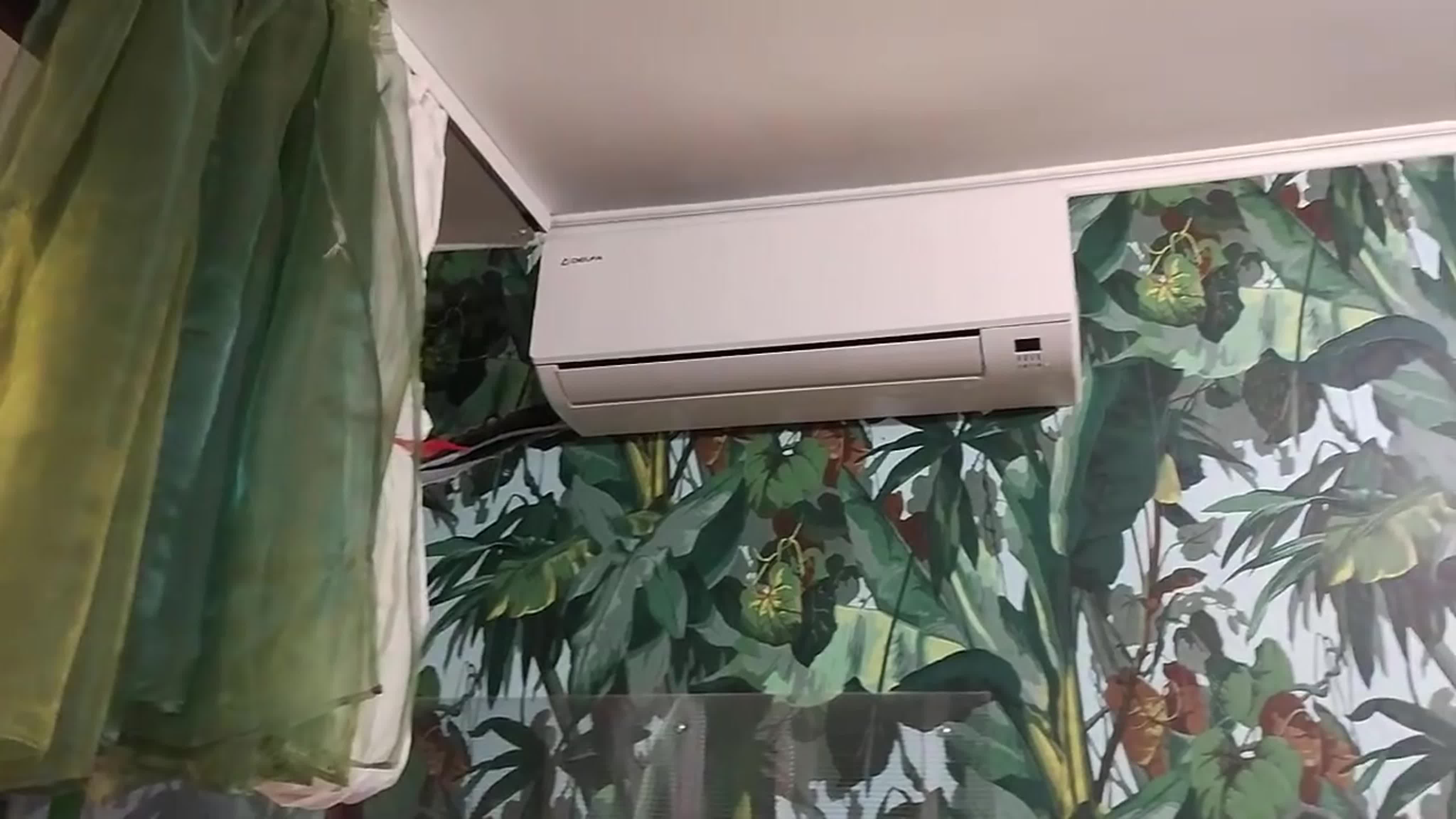 РАБОТА. БИЗНЕС. РУССКАЯ ГОЛУБАЯ КОШКА