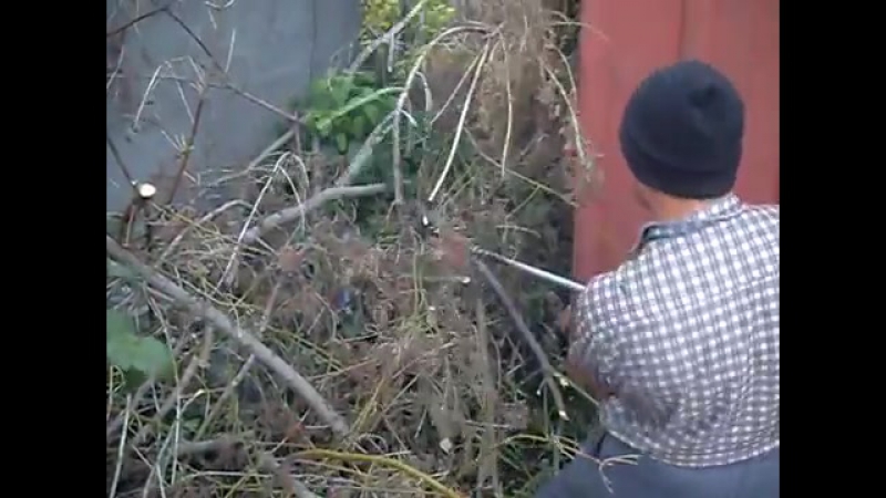 САД. БЕНЗОПИЛА.