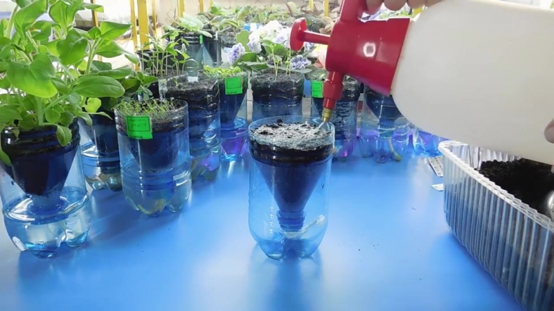 САД. ФИТИЛЬНЫЙ ПОЛИВ.