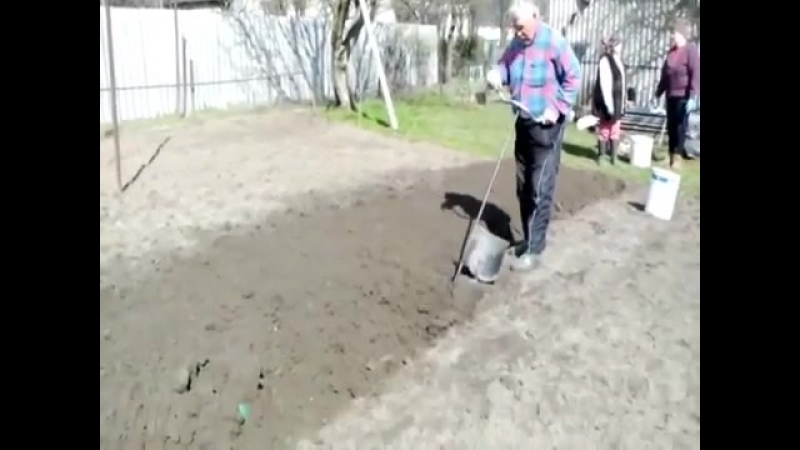 САД. ЧУДО-ЛОПАТА