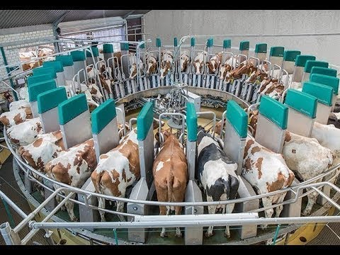 Молодые аграрии: агроэкология. Молодежного форум