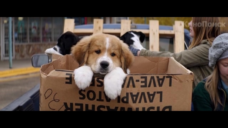 Трейлеры марта 2017