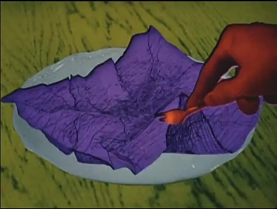 Польская  Анимация