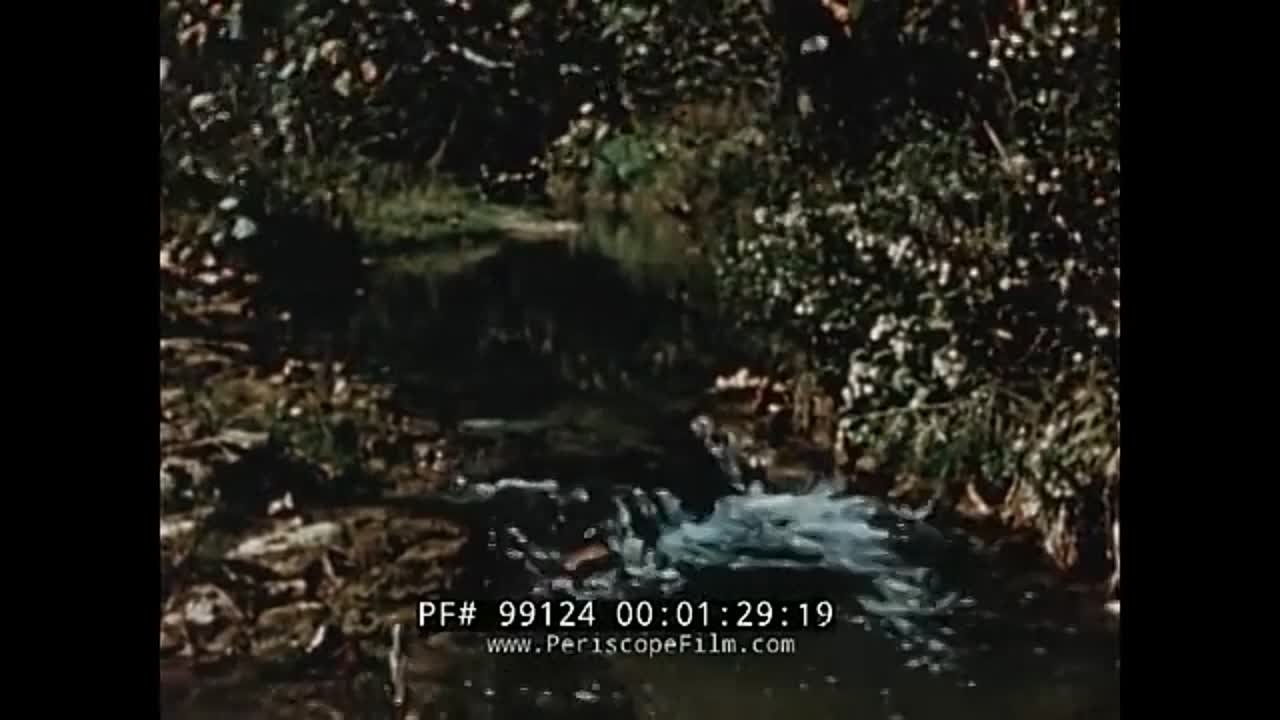 ВОСПРОИЗВЕСТИ ВСЕ Historic films about the Environment