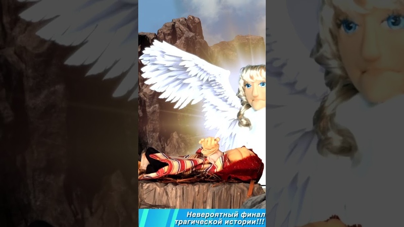 Элин дворик и грибные мудрилки