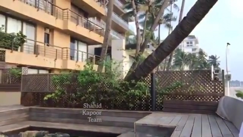 Чаты, общение с поклонниками