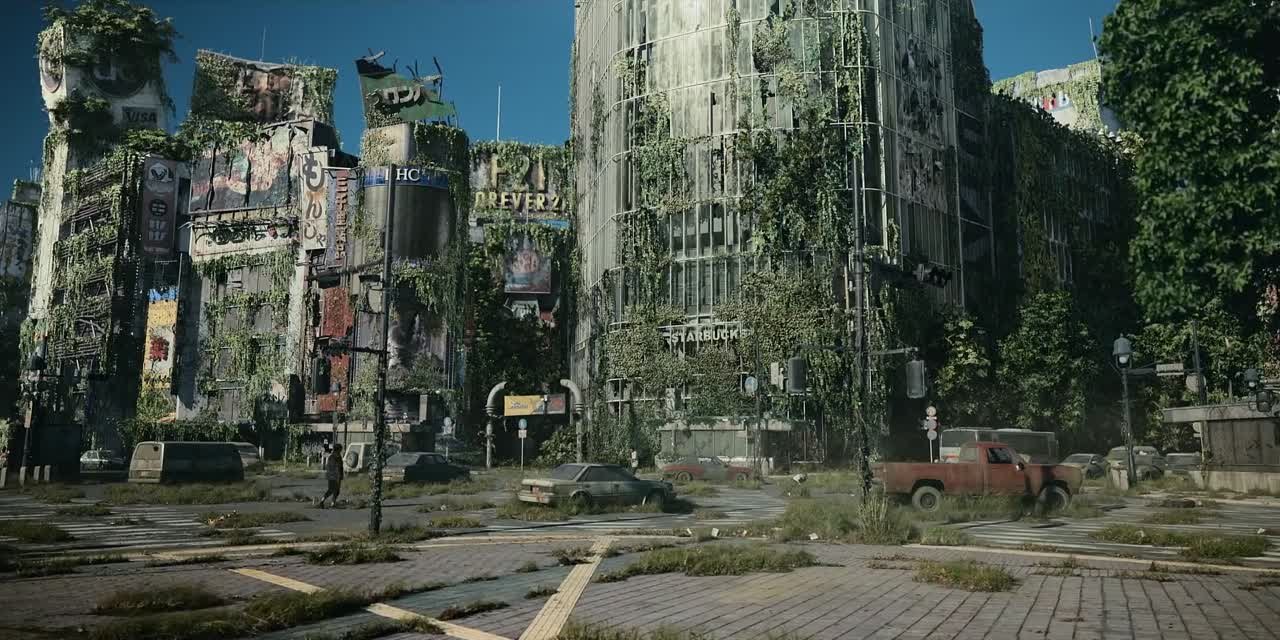 АЛИСА В ПОГРАНИЧЬЕ