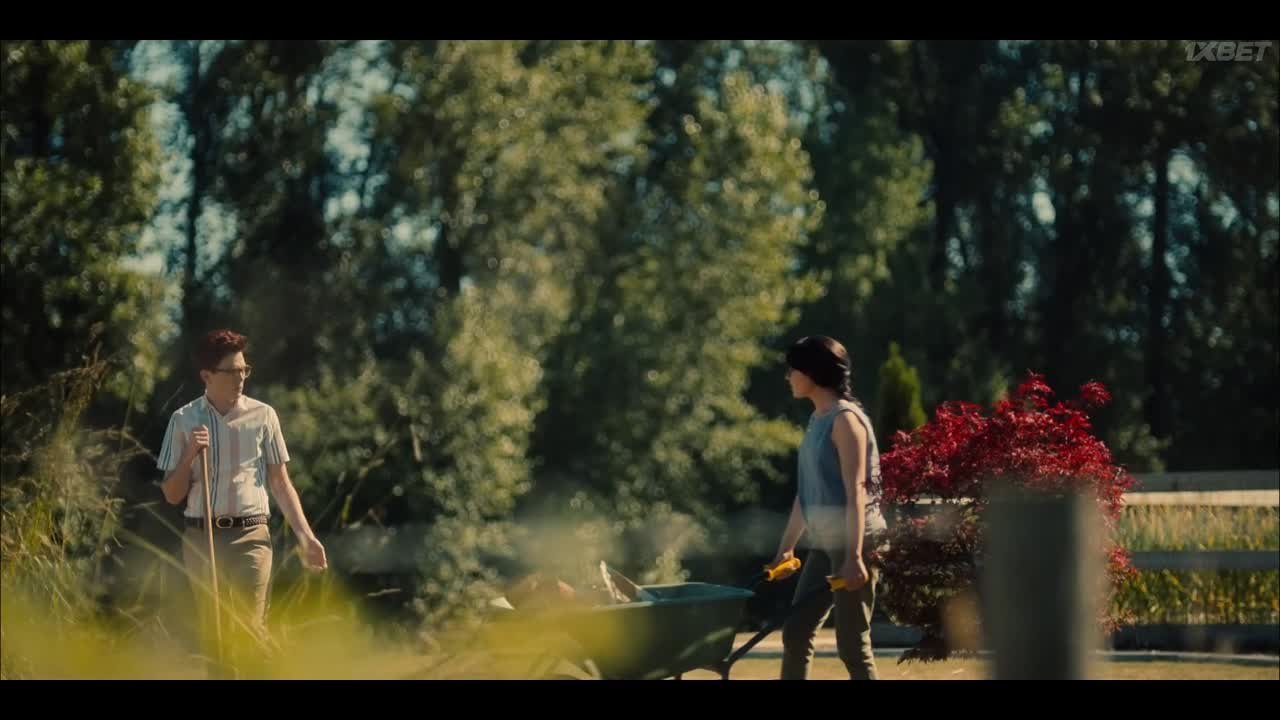 Несовершенные