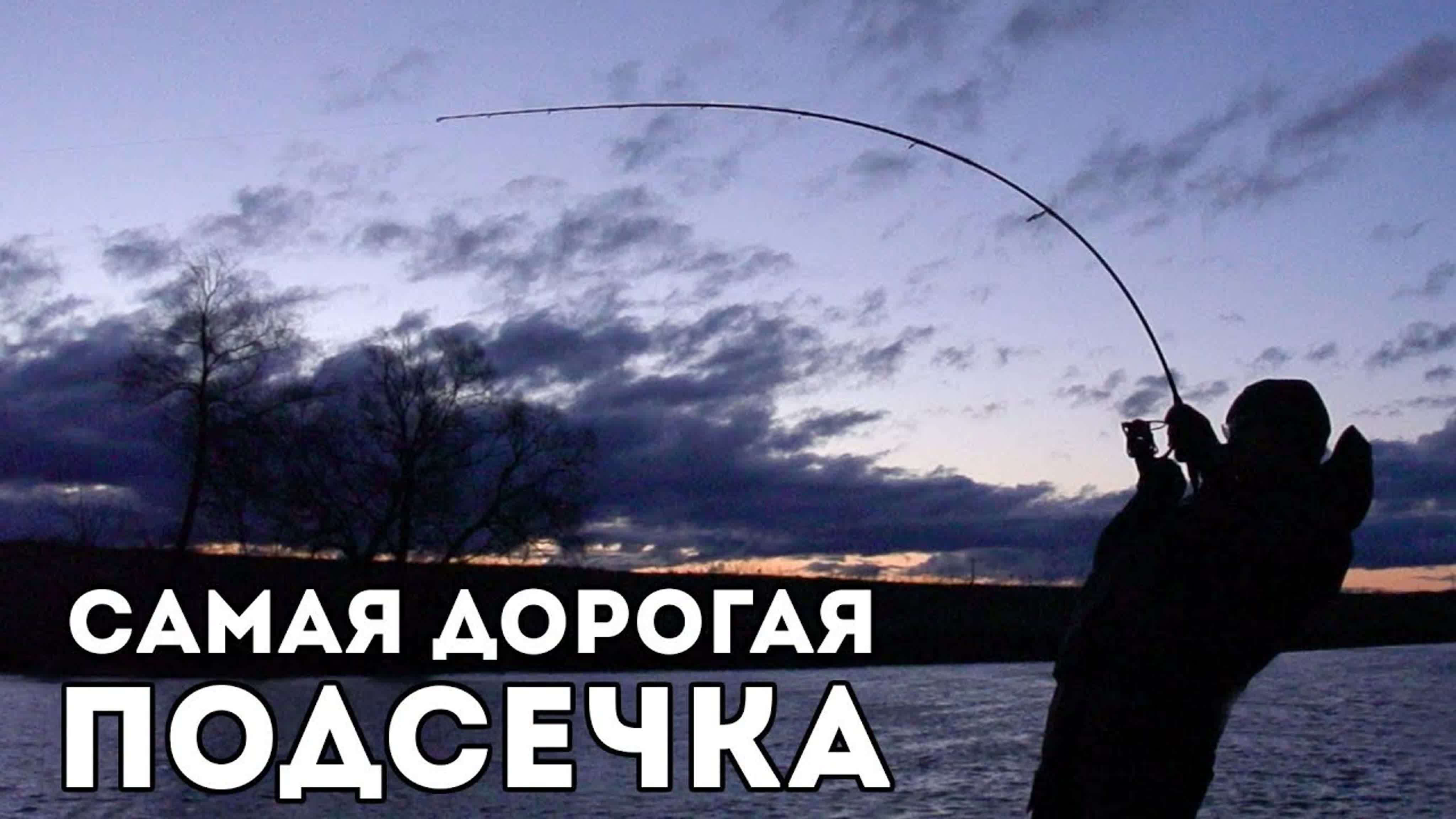 Дорогие спиннинги