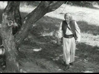 Капитан Танкеш.Венгрия.