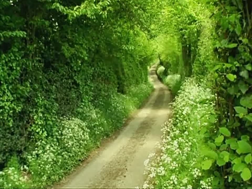 Букашки / Крохи / Минускулы / Minuscule /