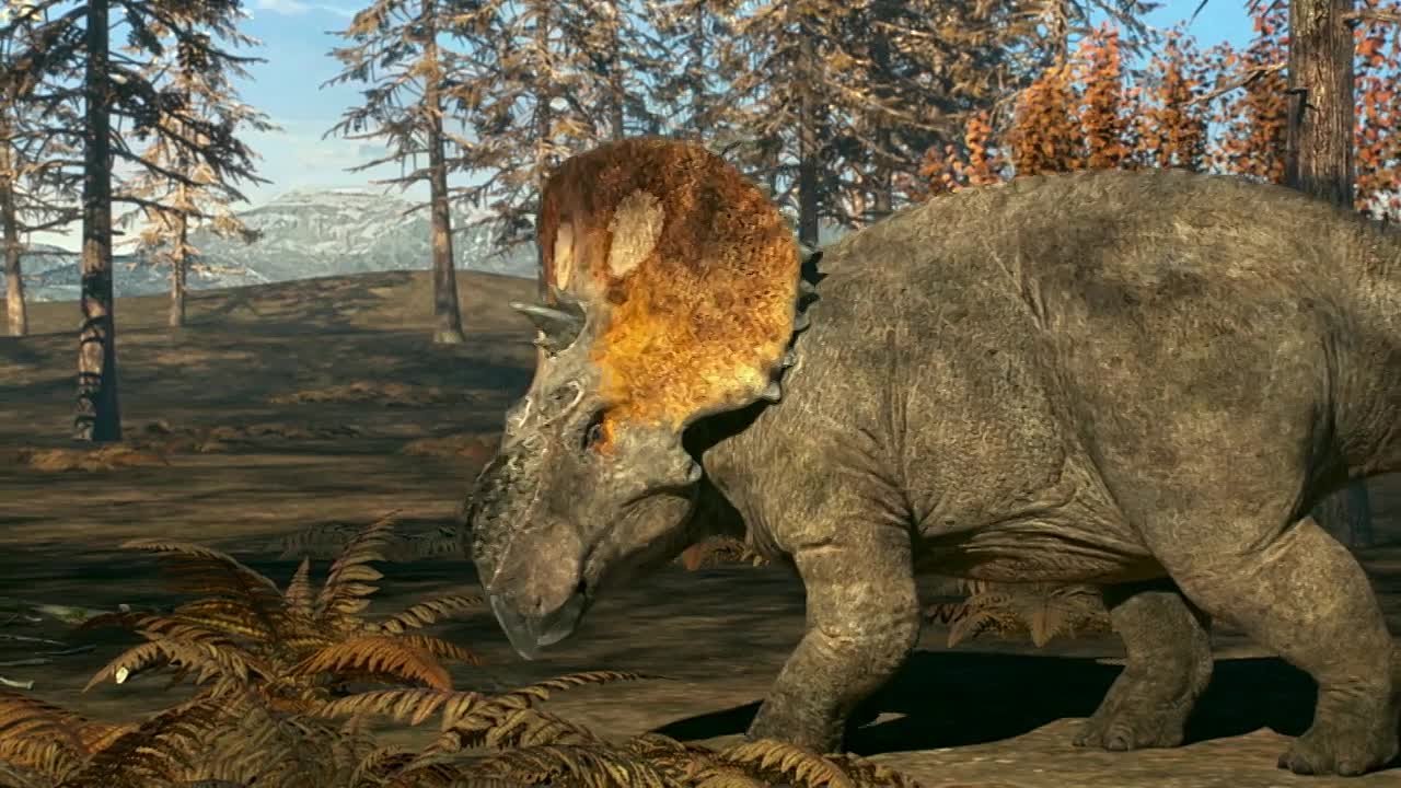 мультфильмы