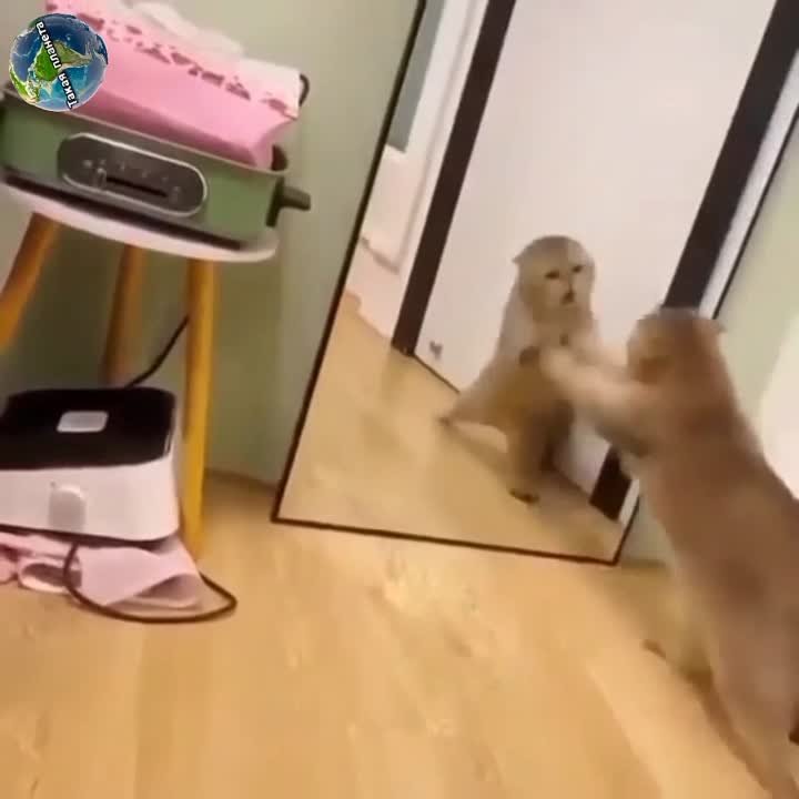 животные земные