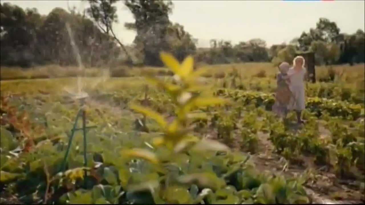 Сериал Братья по обмену