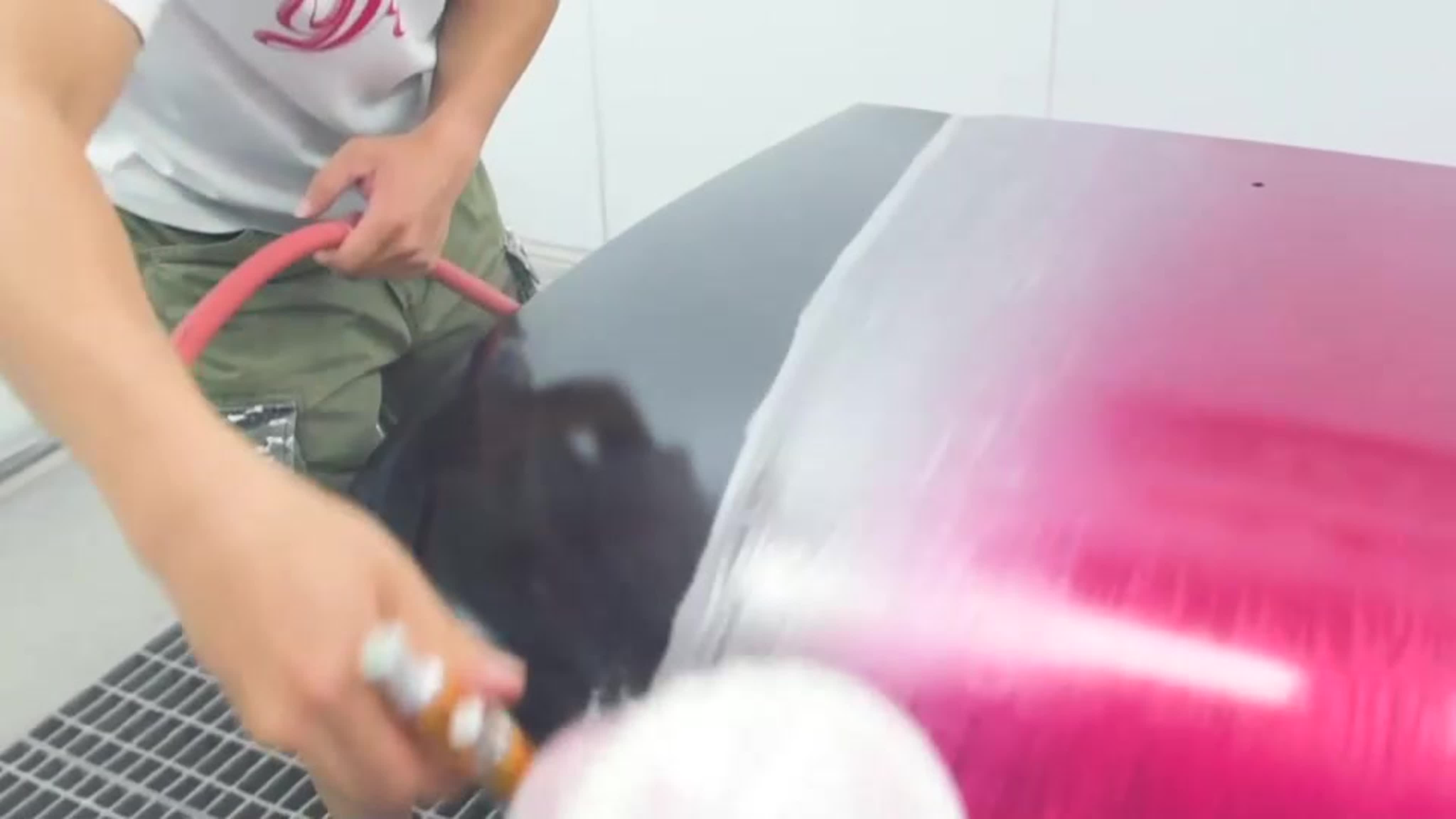 Новые модели STAR 2018-2019 г. Чёрные корпуса