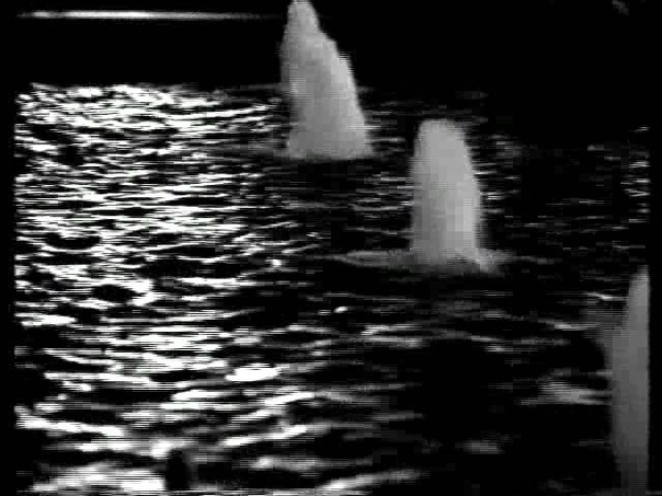 Рома Емельяненко