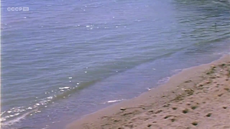 «Д’Артаньян и три мушкетёра» (1979)