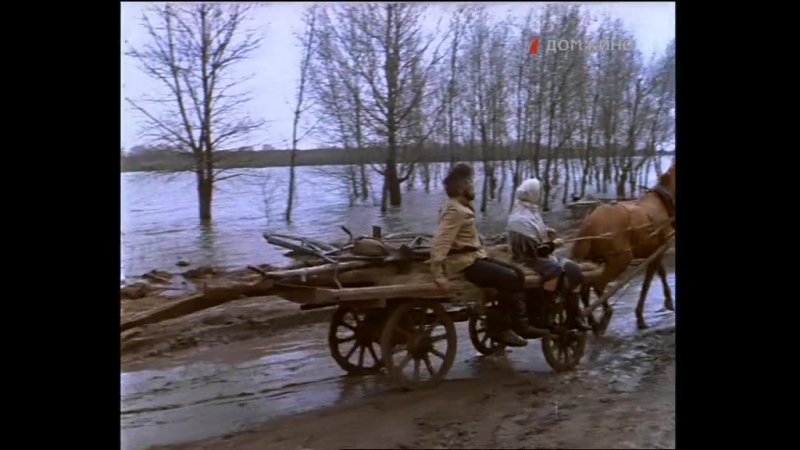 «Цыган» (1979)