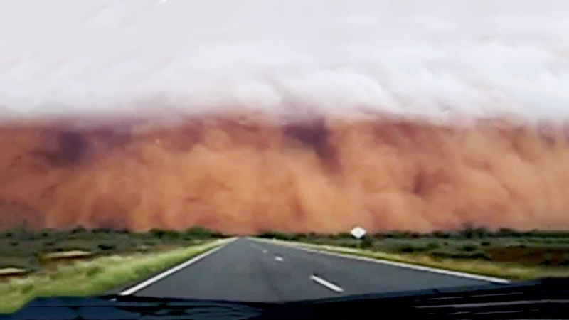 Удивительные факты