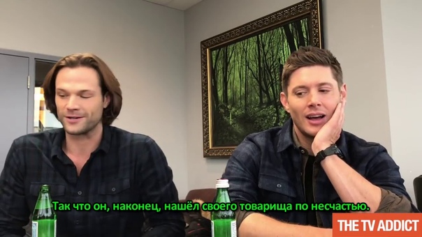 Другие панели и интервью