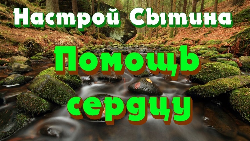 Настрои Сытина для женщин и мужчин (унисекс)