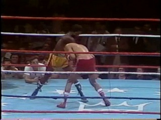 ★ Salvador Sanchez ★