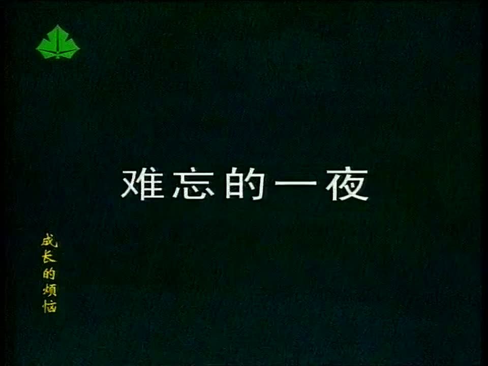 《成长的烦恼》中文配音