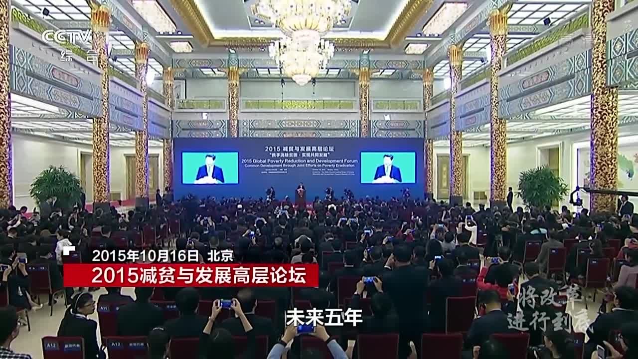 《将改革进行到底》